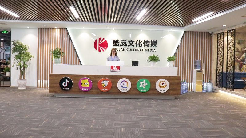 动画制作：三维与二维，一场视觉艺术的对话