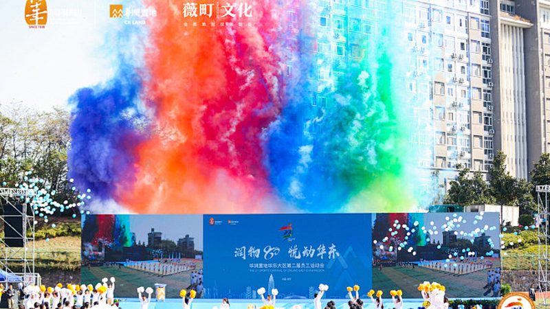 VI设计模板：材质、规格全解析